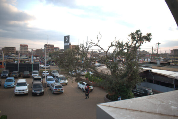 Thika
